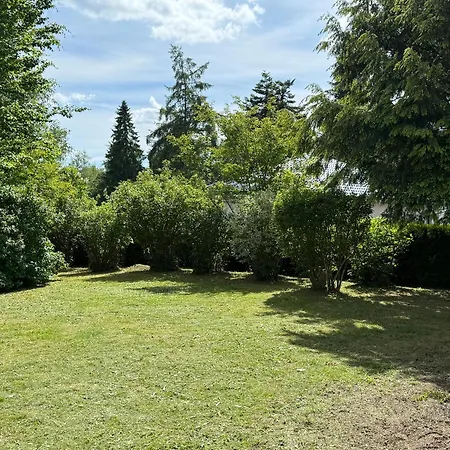 Apartment Ferienhaus-lea *